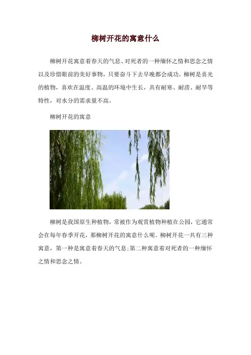柳树开花的寓意什么