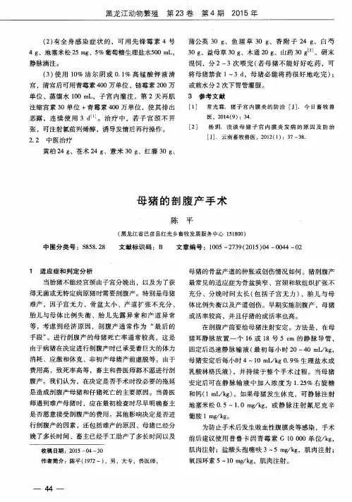 母猪的剖腹产手术