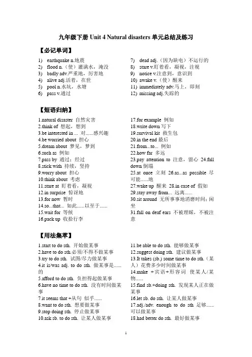 深圳牛津版初中英语九年级下册Unit4知识点语法精讲精练【全套4】