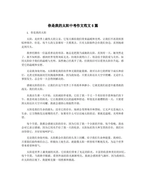 你是我的太阳中考作文范文5篇 2