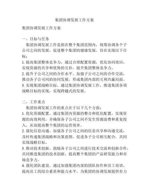 集团协调发展工作方案