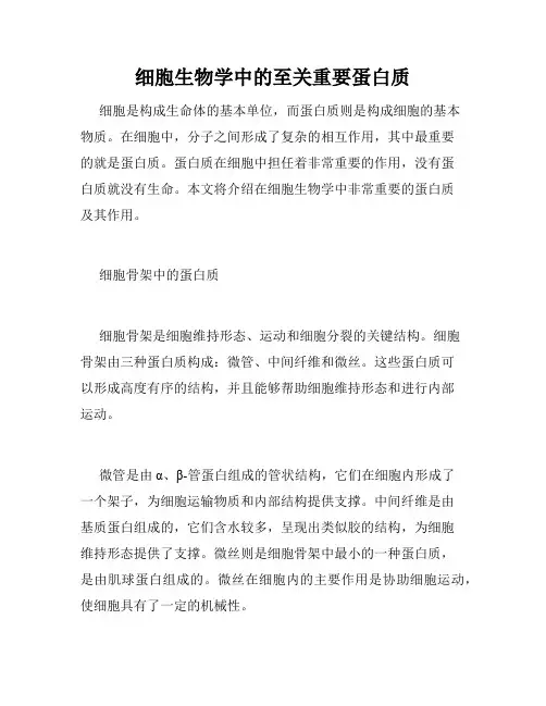 细胞生物学中的至关重要蛋白质