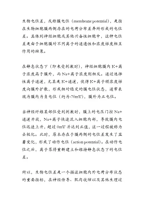 生物电位差的概念