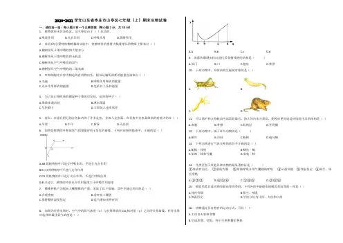 2020-2021学年山东省枣庄市山亭区七年级(上)期末生物试卷含解析