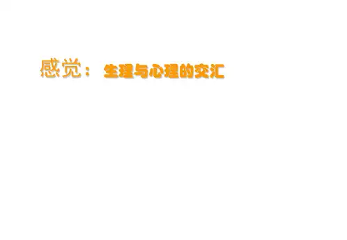 普通心理学感觉和知觉