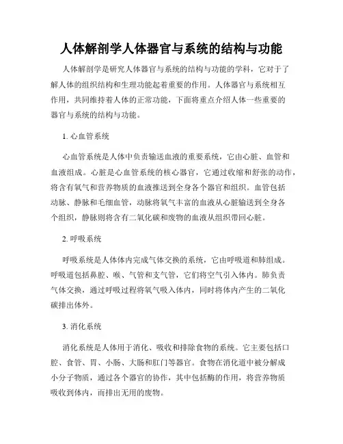 人体解剖学人体器官与系统的结构与功能