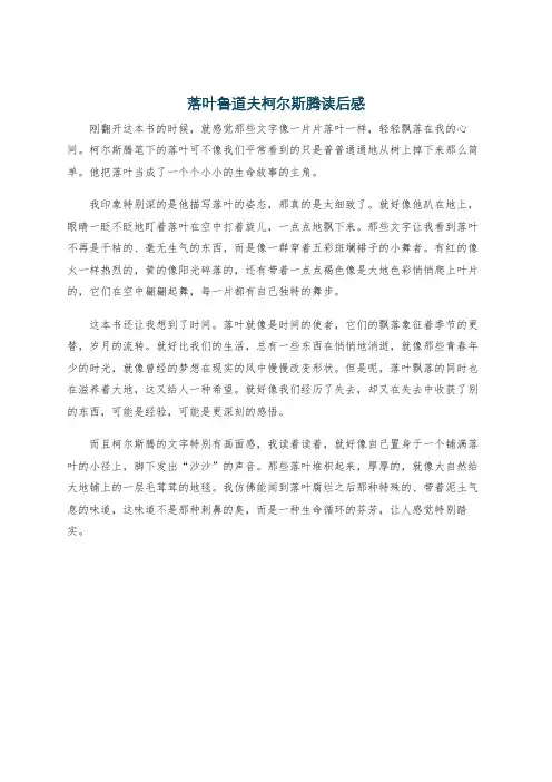 落叶鲁道夫柯尔斯腾读后感