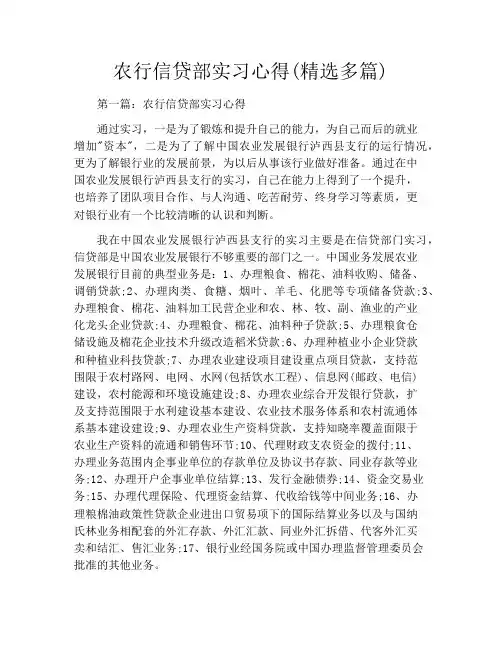 农行信贷部实习心得(精选多篇)