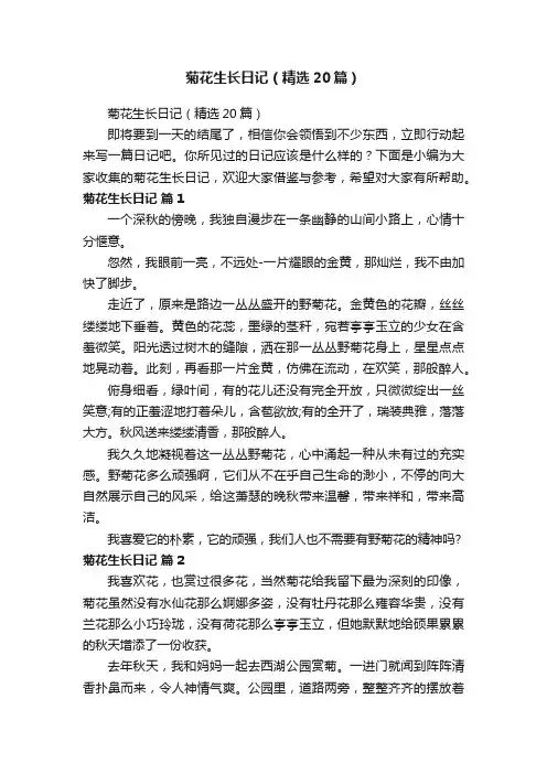 菊花生长日记（精选20篇）