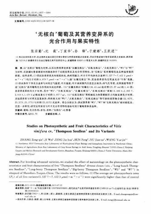 ‘无核白’葡萄及其营养变异系的光合作用与果实特性(英文)