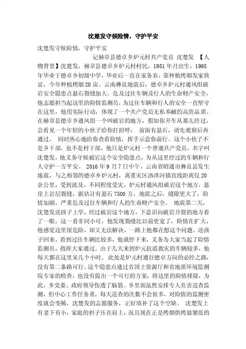 沈楚发守候险情，守护平安（精简篇）