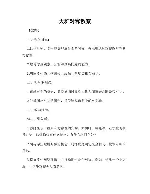 大班对称教案