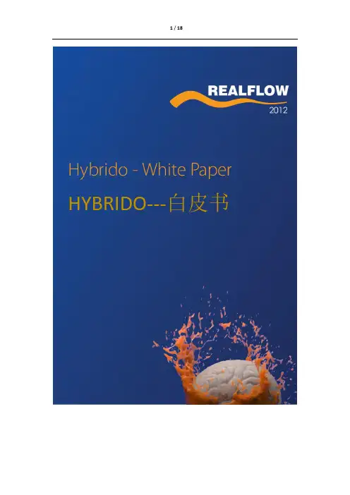 RealFlow Hybrido 白皮书中文版