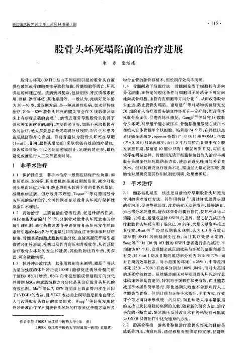 股骨头坏死塌陷前的治疗进展