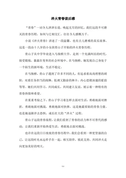 淬火青春读后感