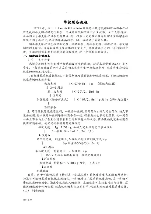 单克隆抗体制备流程图
