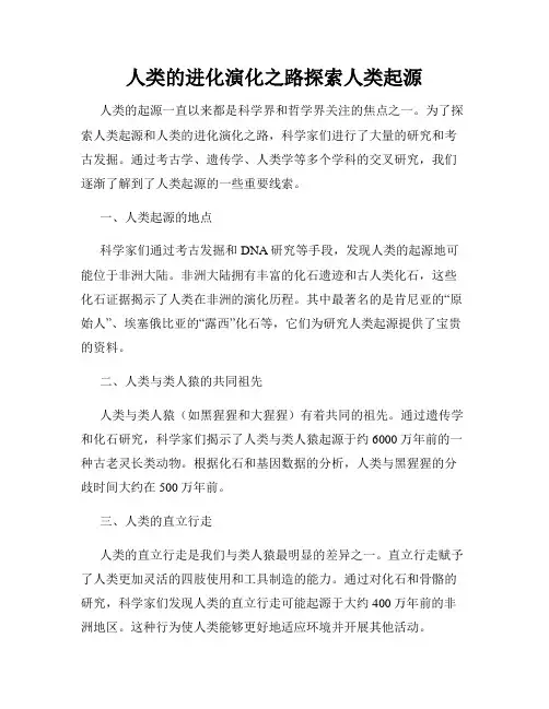 人类的进化演化之路探索人类起源