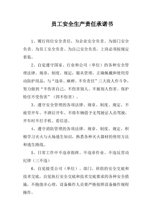 安全生产责任承诺书 3