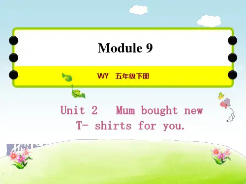 五年级下册Unit 2   Mum bought new  T- shirts for you