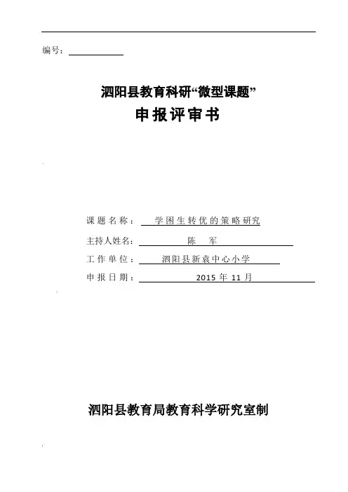 小学数学微型课题(新)