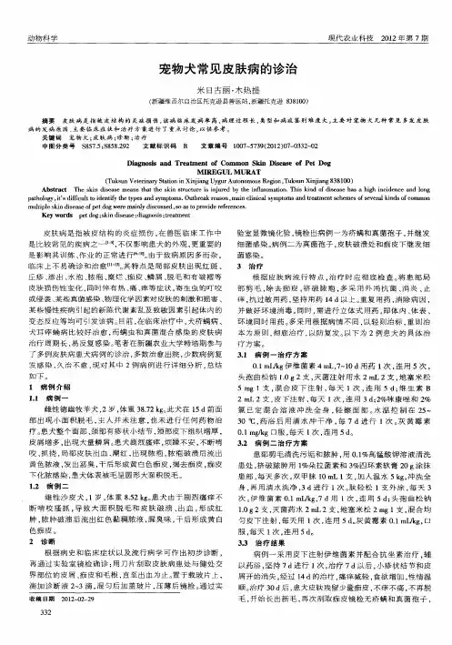 宠物犬常见皮肤病的诊治