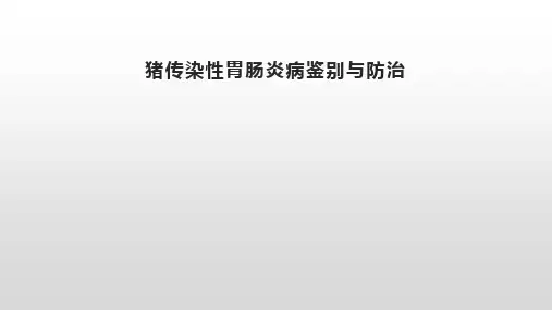 猪传染性胃肠炎病鉴别与防治