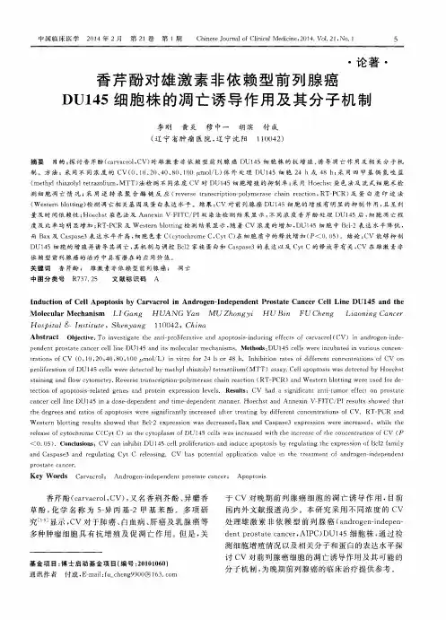 香芹酚对雄激素非依赖型前列腺癌DU145细胞株的凋亡诱导作用及其分子机制