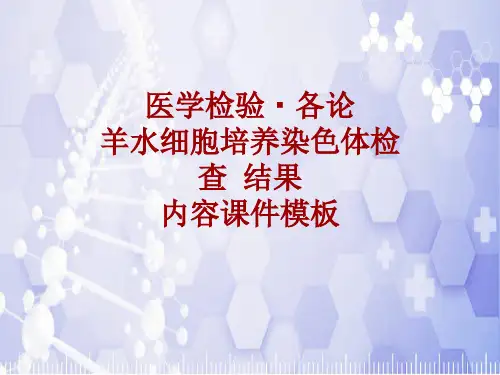 医学检验·检查项目：羊水细胞培养染色体检查结果_课件模板