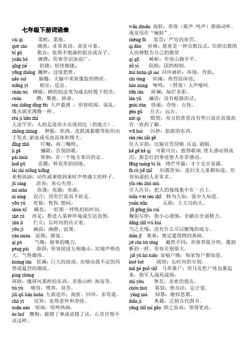 初一下学期词语注音解释及练习