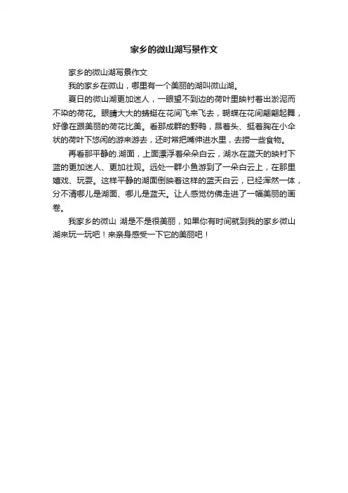 家乡的微山湖写景作文
