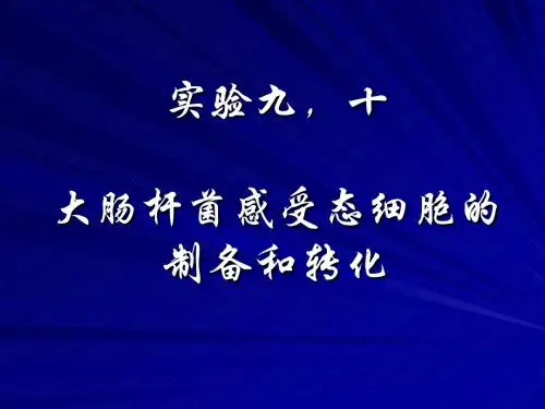 大肠杆菌感受态细胞的制备和转化