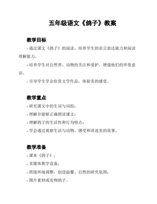 五年级语文《鸽子》教案