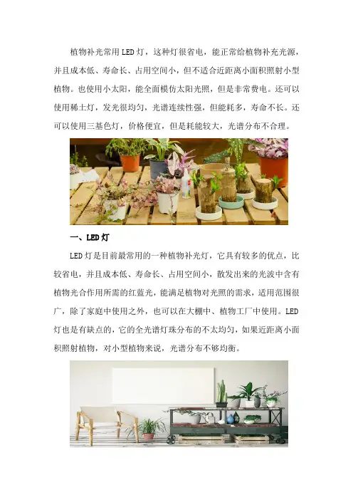 植物补光一般用什么灯