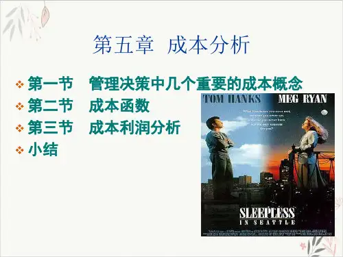 管理经济学第五章(成本利润分析)课件ppt