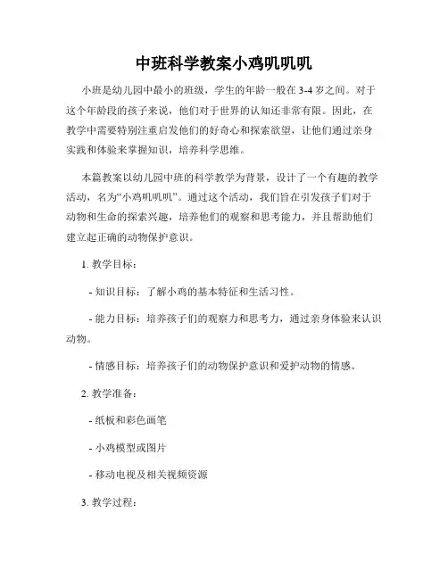 中班科学教案小鸡叽叽叽