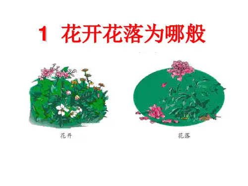 四年级下-花开花落为哪般 湘科版
