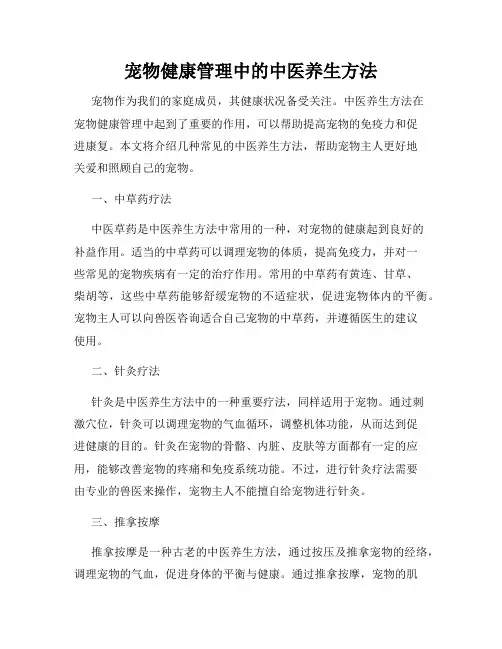 宠物健康管理中的中医养生方法