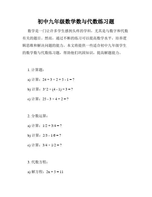 初中九年级数学数与代数练习题