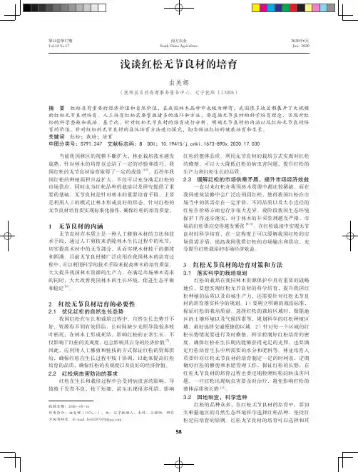 浅谈红松无节良材的培育