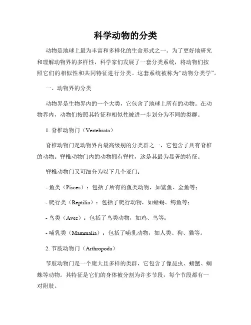 科学动物的分类