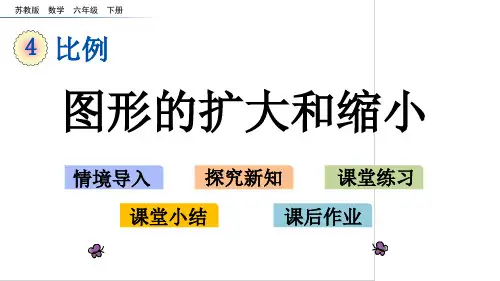 六年级下册数学课件-4.1 图形的扩大和缩小 苏教版(共15张PPT)
