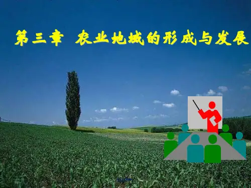 人教版高中地理必修2第三章 农业地域的形成与发展第一节 农业的区位选择课件(4)