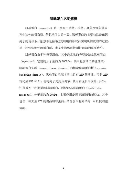 肌球蛋白名词解释