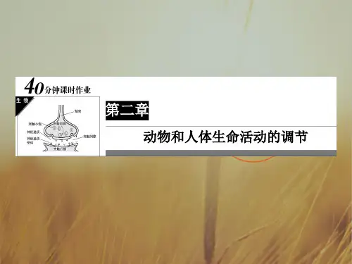 2018高中生物必修3课件：2-4 第2章 动物和人体生命活动的调节