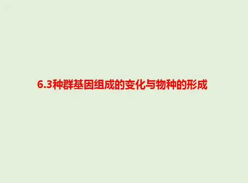 (2019人教版必修2)高一生物 种群基因组成的变化与物种的形成(精品课件)
