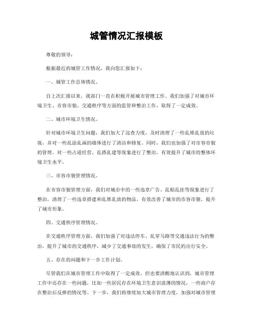 城管情况汇报模板