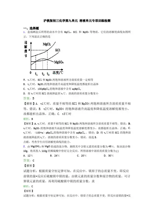 沪教版初三化学第九单元 溶液单元专项训练检测