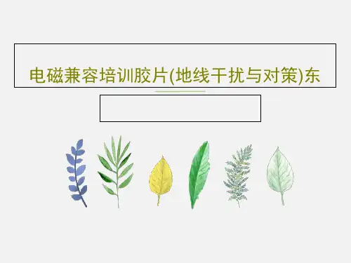 电磁兼容培训胶片(地线干扰与对策)东共33页