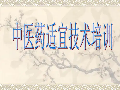 中医药适宜技术培训(共六种)
