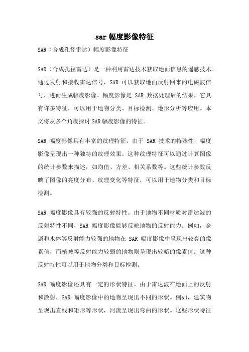sar幅度影像特征